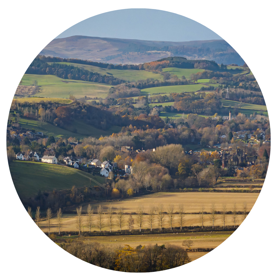 Image of landscape in South of Scotland