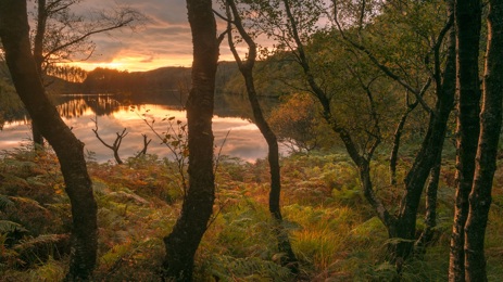 Loch Trool image