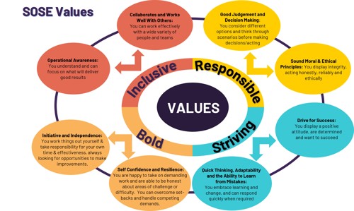 SOSE Values Diagram
