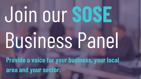 Join our SOSE Business Panel