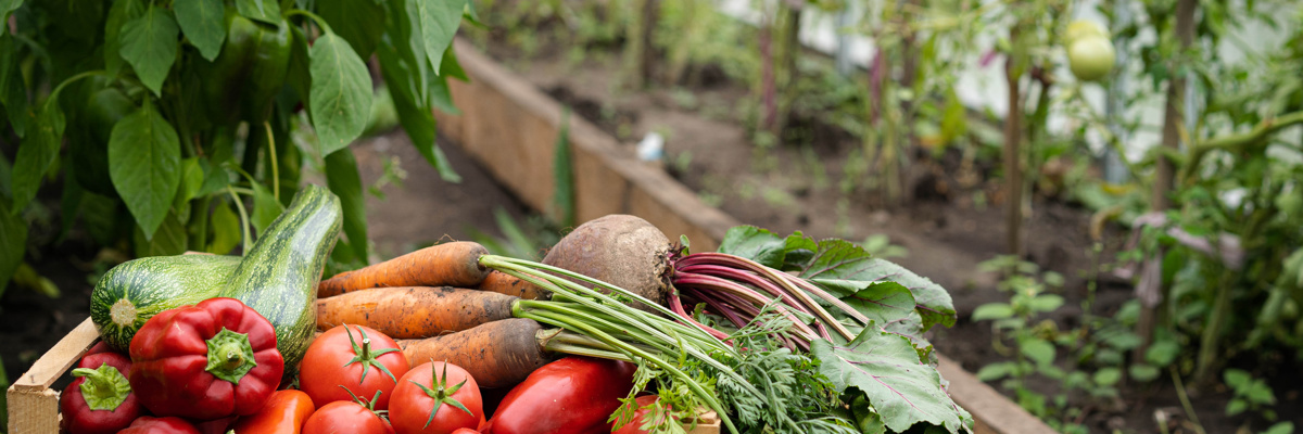 Jane Morrison-Ross & Martin Valenti represent SOSE at first planting of Center Parcs Trees 