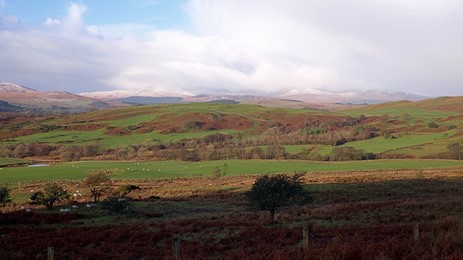 RLUP Galloway Hills D And G Council Photo