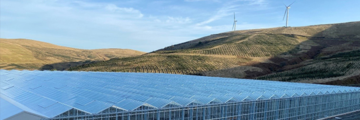 Hilltop Leaf Greenhouse