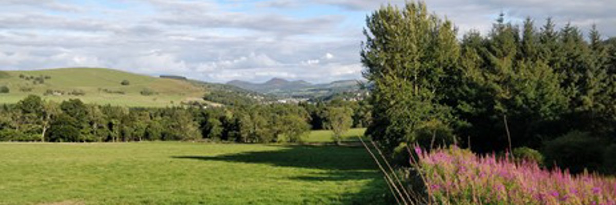 New Natural Capital team to help drive just and fair economy in South
