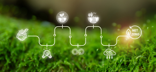 Net Zero business goals