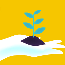 Picture showing plant growing with support