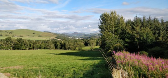 A view of Galashiels And Eildons From Torwoodlee